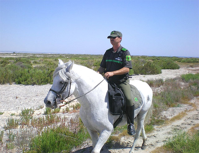 Los espacios naturales de la Región son patrullados por agentes medioambientales a caballo - 2, Foto 2