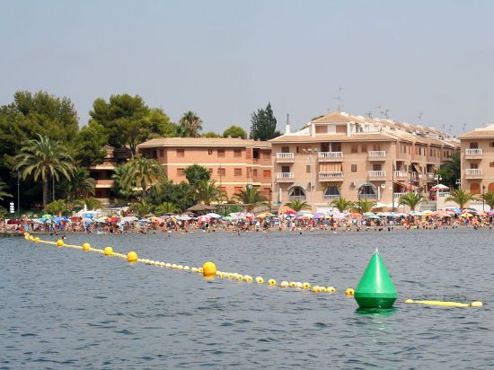 Cerdá asegura que el Mar Menor se puede considerar limpio de medusas - 4, Foto 4