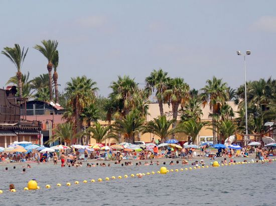 Cerdá asegura que el Mar Menor se puede considerar limpio de medusas - 5, Foto 5
