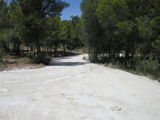 El Ayuntamiento repara caminos en espacios protegidos en la pedanía de Gebas - 2, Foto 2