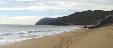 El ayuntamiento de Cartagena y la Comunidad Autnoma ponen en marcha una campaña de limpieza en Calblanque