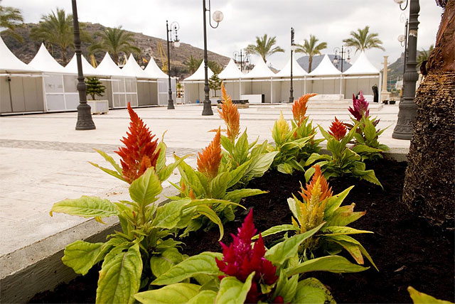 El Ayuntamiento adorna el puerto con 2.616 unidades florales para recibir la MedCup - 1, Foto 1