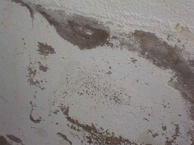 Desastre en el inicio del curso escolar en Archena, según el PSOE - 2, Foto 2