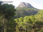 El Parque Regional de Sierra Espuña acogerá en 2010 la ‘Olimpiada de la Naturaleza’