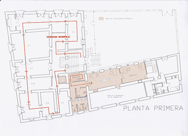 El Museo de Arte Ibérico ‘El Cigarralejo’ amplía su espacio para dar respuesta a las nuevas demandas - 2, Foto 2
