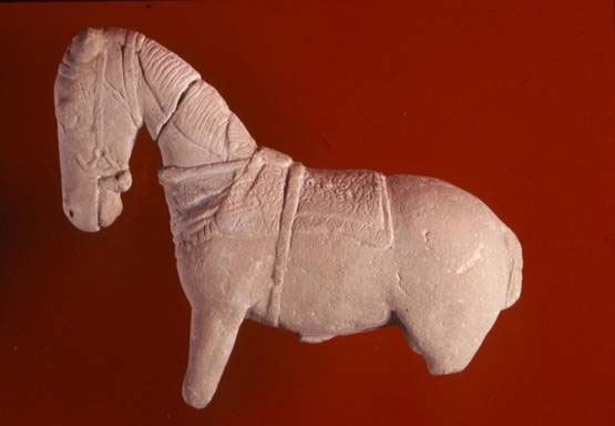 El Museo de Arte Ibérico ‘El Cigarralejo’ amplía su espacio para dar respuesta a las nuevas demandas - 5, Foto 5