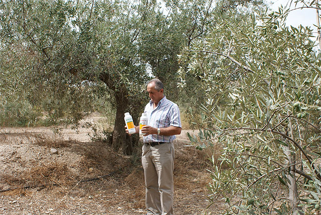 La Concejalía de Desarrollo Rural informa sobre la campaña contra la Mosca del Olivo - 1, Foto 1