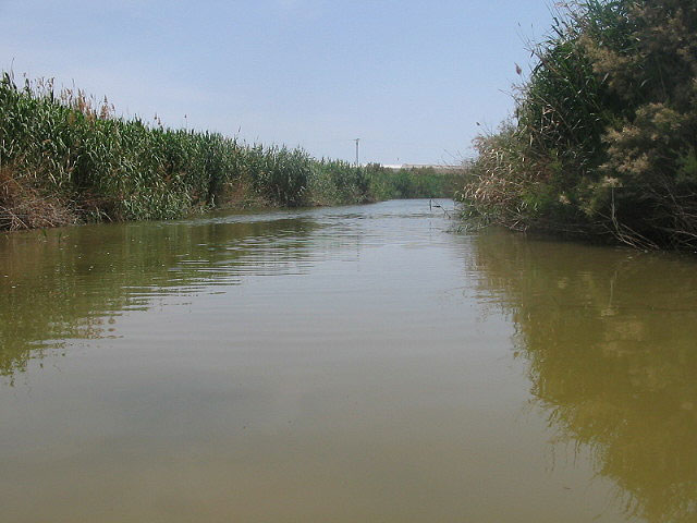 Desarrollo Sostenible da un paso definitivo para declarar humedales de importancia internacional Las Moreras y Campotéjar - 1, Foto 1