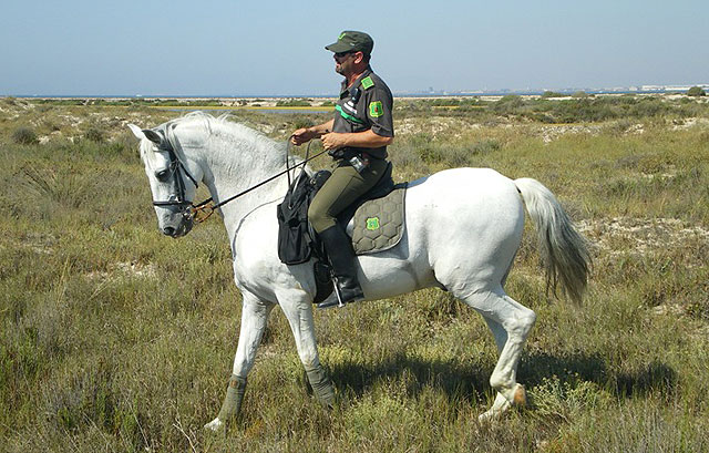 Desarrollo Sostenible establece un sistema de vigilancia especial con motivo de la Romería de la Fuensanta - 1, Foto 1