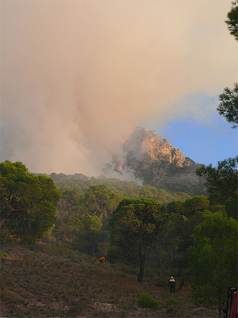 Más de 200 personas participaron en la extinción del incendio ocurrido en Santa Ana - 3, Foto 3