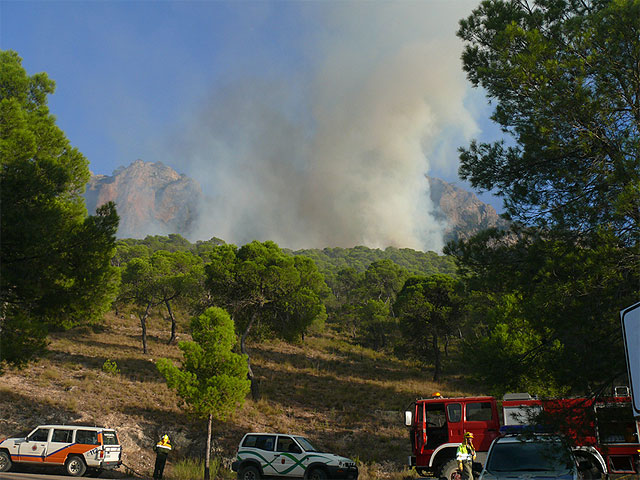 Más de 200 personas participaron en la extinción del incendio ocurrido en Santa Ana - 1, Foto 1