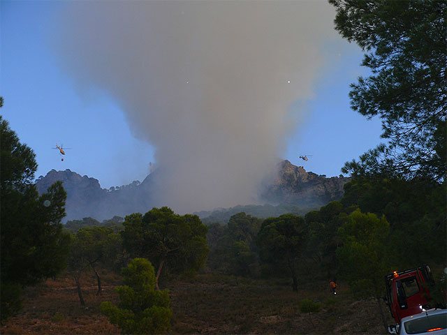 Más de 200 personas participaron en la extinción del incendio ocurrido en Santa Ana - 2, Foto 2