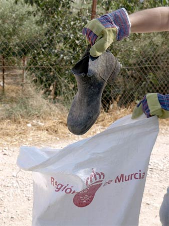 Celabrada la jornada medioambiental “a limpiar el mundo 2008” - 2, Foto 2