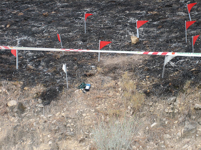 Gracias a las primeras investigaciones de la Policía se localizó a los presuntos autores del incendio de Santa Ana - 3, Foto 3