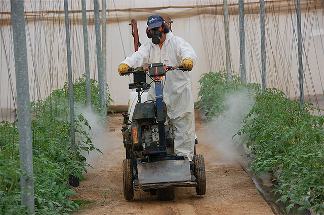 Agricultura demuestra que el empleo de productos fitosanitarios en invernadero cumple con todos los requisitos de seguridad - 1, Foto 1