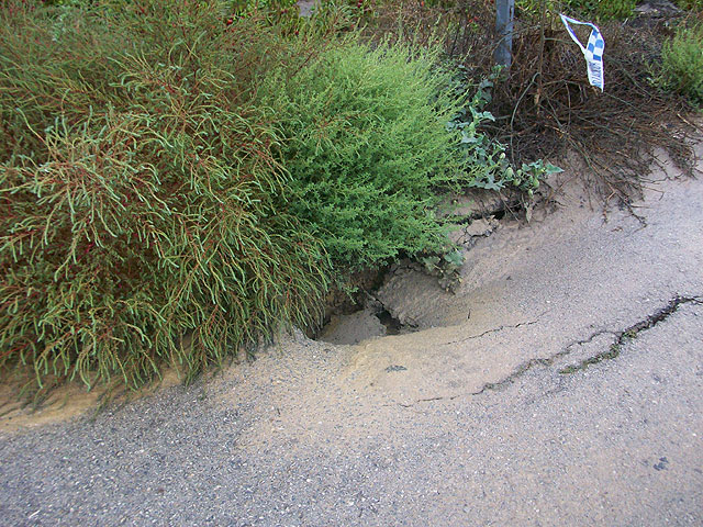 El concejal de Agricultura y Pedanías visita las zonas rurales del municipio más afectadas por el temporal de lluvia, Foto 3