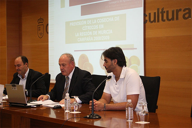 Agricultura destaca la recuperación de la producción citrícola regional a pesar del abandono de superficies y la escasez de agua - 1, Foto 1