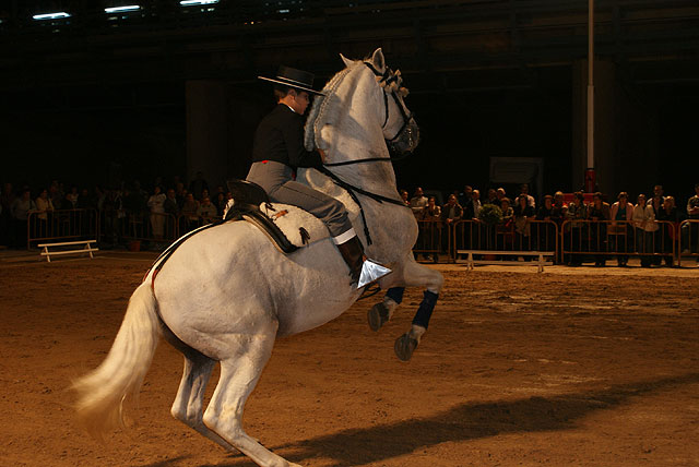 Más de 1.500 personas asistieron al espectáculo ecuestre de la Yeguada Peña de Bejar - 1, Foto 1