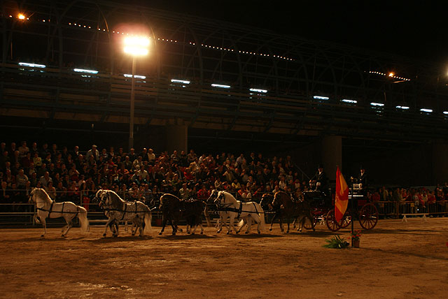 Más de 1.500 personas asistieron al espectáculo ecuestre de la Yeguada Peña de Bejar - 2, Foto 2