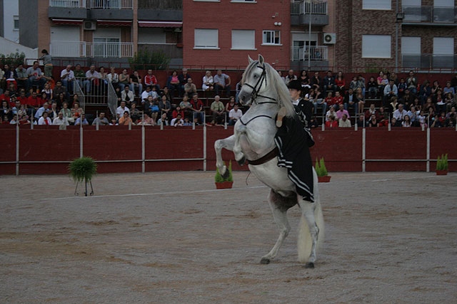 Santomera disfrutará de una tarde taurina con motivo de sus fiestas patronales - 2, Foto 2