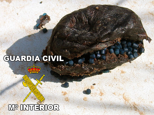 El SEPRONA de la Guardia Civil detiene al presunto autor de una oleada de envenenamientos en un coto de caza - 2, Foto 2