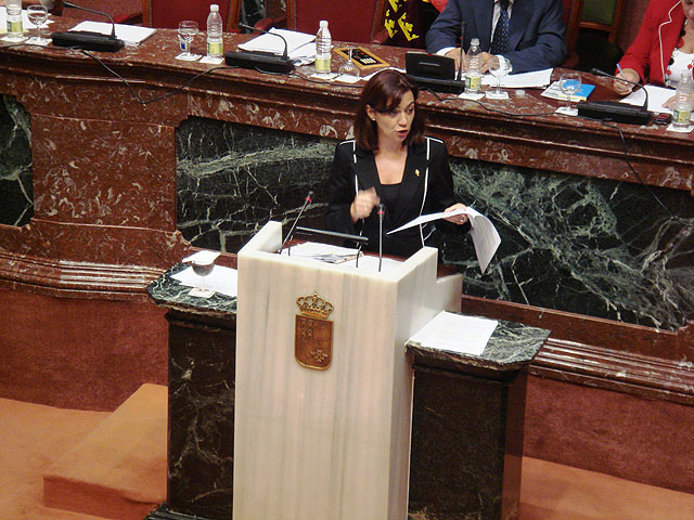 El Grupo Parlamentario Popular califica de “impecable” la gestión del gobierno regional de la Ley de Dependencia - 1, Foto 1