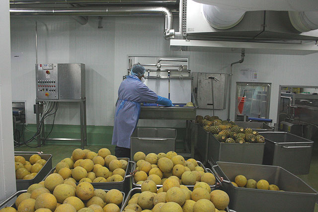 Cerdá anima al sector agroalimentario a seguir manteniendo una industria fuerte e innovadora - 1, Foto 1