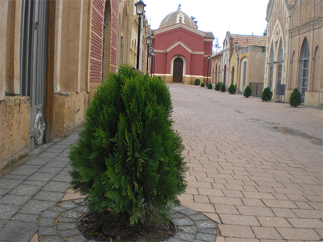 La Junta de Gobierno local adjudica diez fosas y un nicho en el cementerio municipal por un valor de casi 15.000 euros, Foto 2