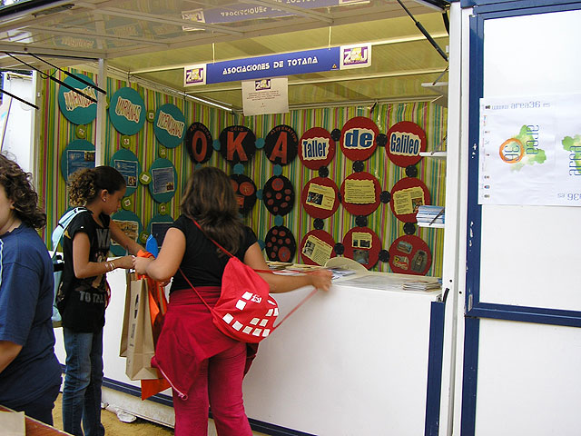 La Concejalía de Juventud y cerca de una decena de asociaciones juveniles de la localidad participan en la IX Feria Regional de Participación Juvenil “Zona Joven 2008, Foto 2
