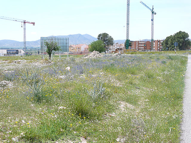 El alcalde de Jumilla se ha reunido con la consejera de Sanidad para hablar del futuro centro integral de salud - 1, Foto 1