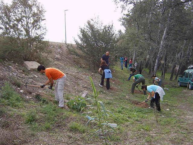 Una veintena de voluntarios ambientales participan en la plantación de árboles autóctonos de ribera en el paraje del Soto de Los Álamos, a orillas del Río Segura - 1, Foto 1