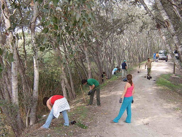 Una veintena de voluntarios ambientales participan en la plantación de árboles autóctonos de ribera en el paraje del Soto de Los Álamos, a orillas del Río Segura - 2, Foto 2