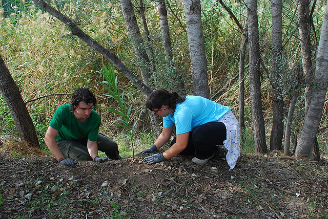 Una veintena de voluntarios ambientales participan en la plantación de árboles autóctonos de ribera en el paraje del Soto de Los Álamos, a orillas del Río Segura - 3, Foto 3
