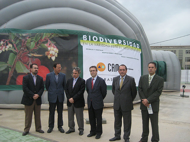 La biodiversidad del Mediterráneo, en pleno centro de la ciudad - 1, Foto 1