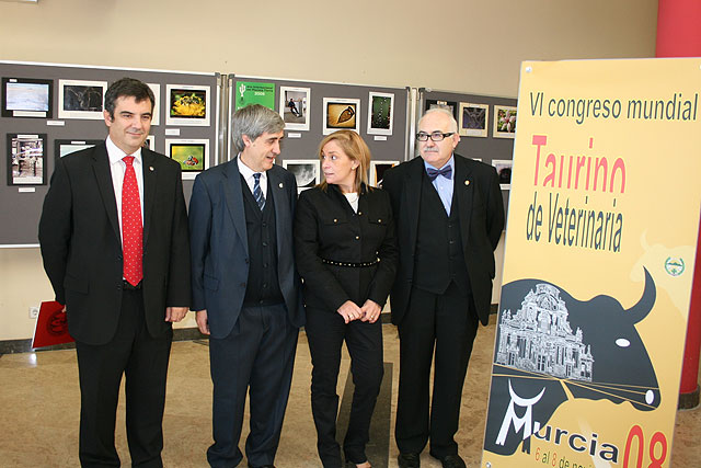 Reverte ensalza el papel de los veterinarios como garantes de la pureza de los festejos taurinos - 1, Foto 1