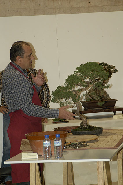 Gran xito en la demostracin prctica de trabajos con bonsi, Foto 2