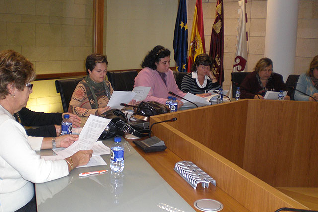 La Asamblea General del Consejo Municipal de Igualdad de Oportunidades se reunió en la tarde de ayer, Foto 2