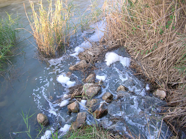 UPyD denuncia ante la Consejería de Agricultura y Agua, el Ayuntamiento de Ceutí y la Confederación Hidrográfica del Segura, los vertidos industriales ilegales del Polígono de Los Torraos al río Segura - 1, Foto 1