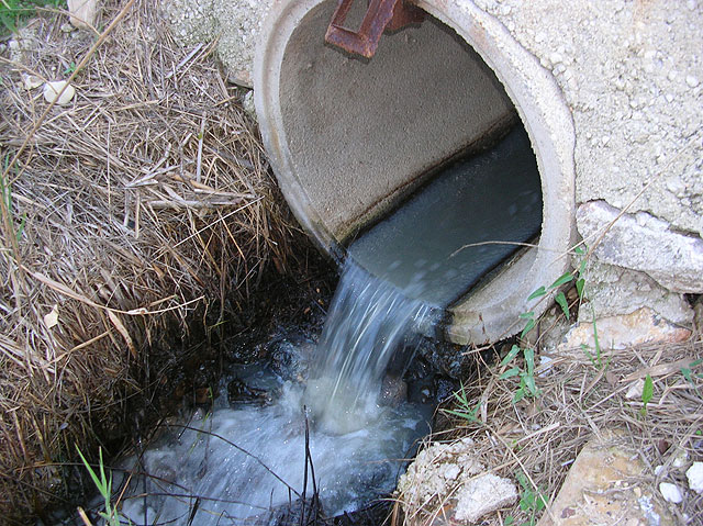 UPyD denuncia ante la Consejera de Agricultura y Agua, el Ayuntamiento de Ceut y la Confederacin Hidrogrfica del Segura, 