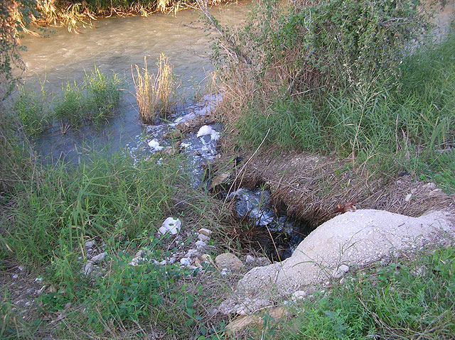 UPyD denuncia ante la Consejera de Agricultura y Agua, el Ayuntamiento de Ceut y la Confederacin Hidrogrfica del Segura, 