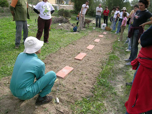 Agricultura ecológica y huertos caseros se darán cita en el Teatro del Siscar - 2, Foto 2
