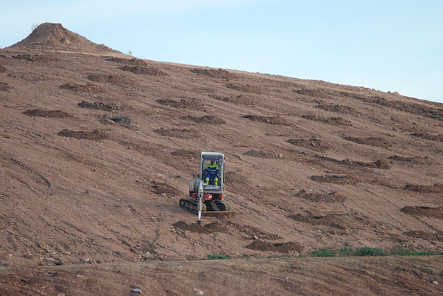 Lhicarsa comienza la revegetación del vertedero de El Gorguel tras las denuncias de ANSE - 1, Foto 1