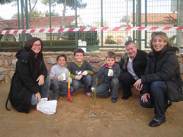 Alumnos de los colegios “Virgen de Loreto” y “Severo Ochoa” plantan en su colegio árboles cedidos por Parques y Jardines con motivo del Día Universal de la Infancia - 1, Foto 1