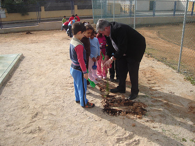 Alumnos de los colegios “Virgen de Loreto” y “Severo Ochoa” plantan en su colegio árboles cedidos por Parques y Jardines con motivo del Día Universal de la Infancia - 2, Foto 2