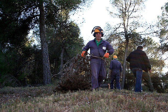 Los montes de Cehegín se ponen guapos de cara al verano - 2, Foto 2