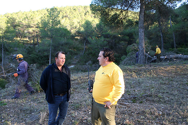 Los montes de Cehegín se ponen guapos de cara al verano - 3, Foto 3