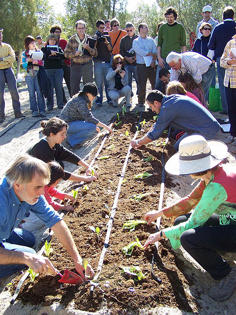Este fin de semana el Teatro del Siscar se despedirá del II Seminario “Crea tu Huerto en Casa, iníciate en la agricultura ecológica urbana” - 2, Foto 2