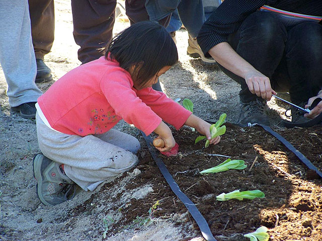 Este fin de semana el Teatro del Siscar se despedirá del II Seminario “Crea tu Huerto en Casa, iníciate en la agricultura ecológica urbana” - 3, Foto 3