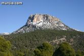 Sierra Espuña reúne los requisitos exigibles a un ‘Bosque Modelo’