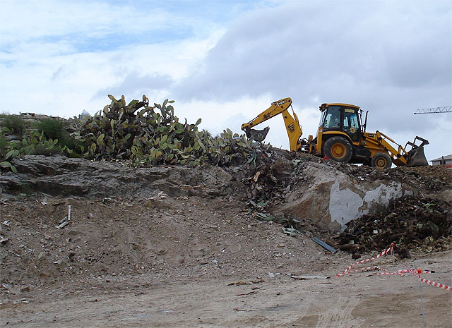 Agricultura elimina unas 100 hectáreas de paleras para combatir la plaga de la cochinilla del carmín - 1, Foto 1